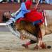 World Press - Gustavo Cuevas, de Espa&#241;a, de la agencia Efe, gan&#243; en la categor&#237;a Deportes, con la cornada del matador Julio Aparicio.