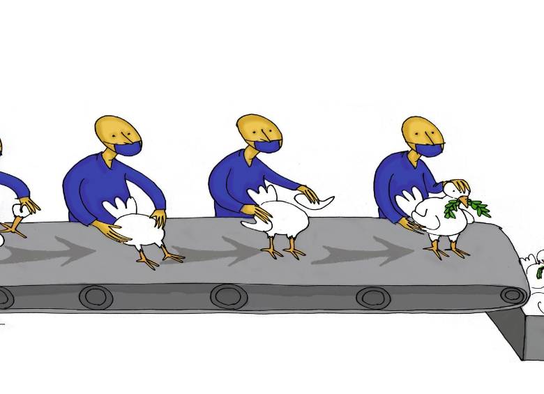 ilustración raúl zuleta