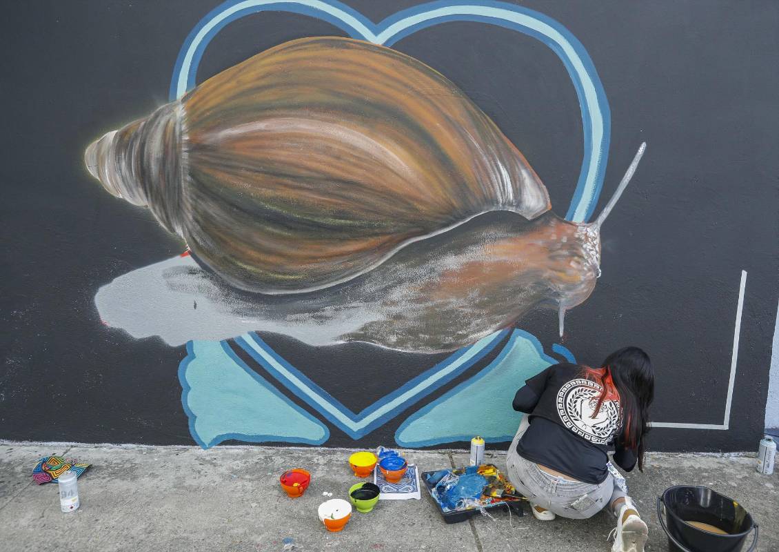 23 artistas urbanos tomaron sus aerosoles y brochas para darle color a la avenida Guayabal en el festival de grafiti de Comfenalco, Medellín. La temática de este año fue aquellos animales indeseados por ciertas personas que los consideran como “plagas” pero que son importantes para el ecosistema. Foto: Manuel Saldarriaga Quintero.