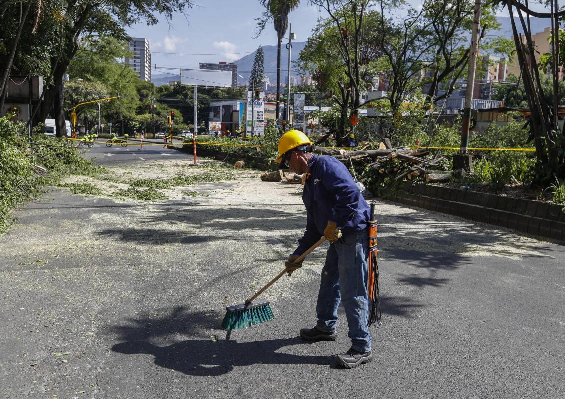 La tala comenzó el pasado 31 de diciembre y fue reactivada este sábado 4 de enero. Ciudadanos protestaron pacíficamente. Foto Manuel Saldarriaga Quintero