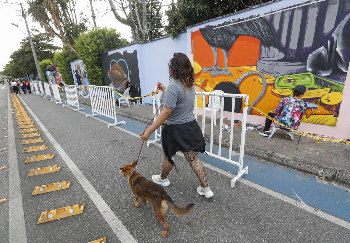 23 artistas urbanos tomaron sus aerosoles y brochas para darle color a la avenida Guayabal en el festival de grafiti de Comfenalco, Medellín. La temática de este año fue aquellos animales indeseados por ciertas personas que los consideran como “plagas” pero que son importantes para el ecosistema. Foto: Manuel Saldarriaga Quintero.
