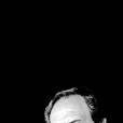 Vicente Verdú