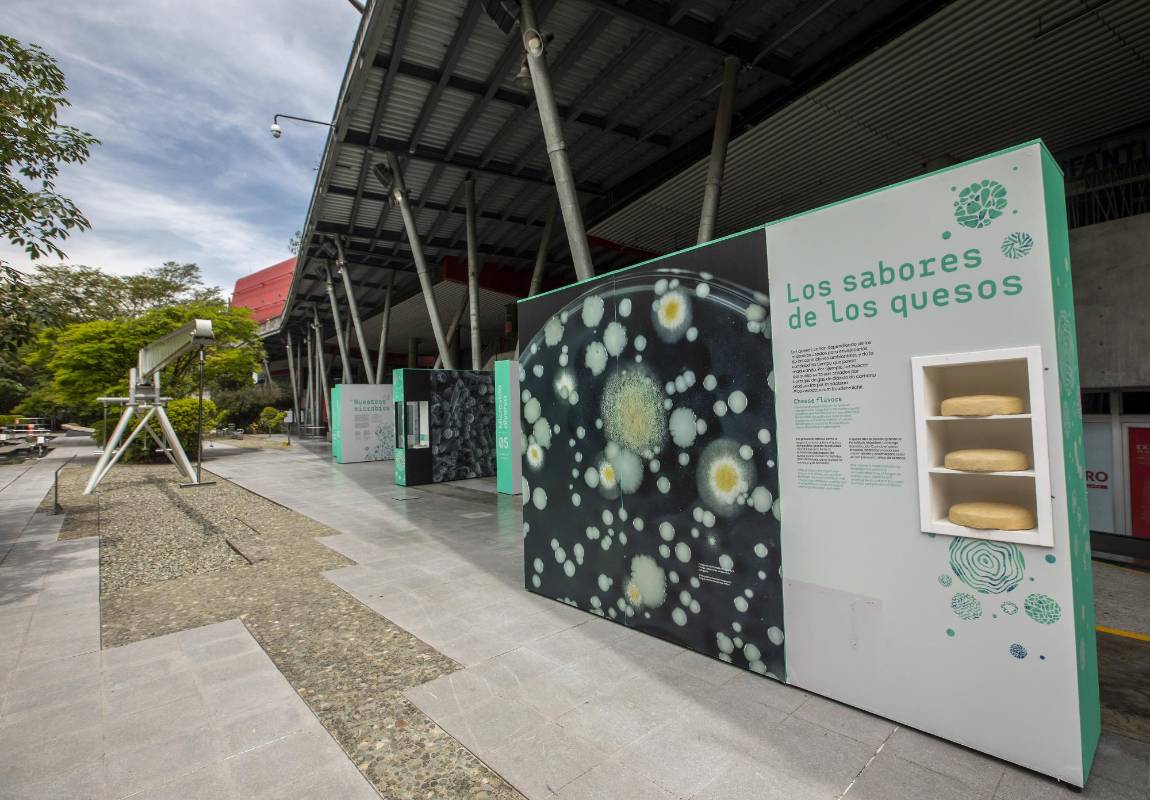 El aforo del Parque durante esta temporada se reducirá al 30 % de su capacidad total, lo que significa que solo podrán ingresar aproximadamente 300 personas. FOTO ANDRÉS CAMILO SUÁREZ