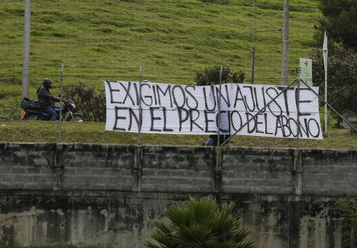 Un puñado de aficionados de Atlético Nacional protestó este martes por los elevados precios de los abonos para el segundo semestre del 2017. FOTO JUAN ANTONIO SÁNCHEZ