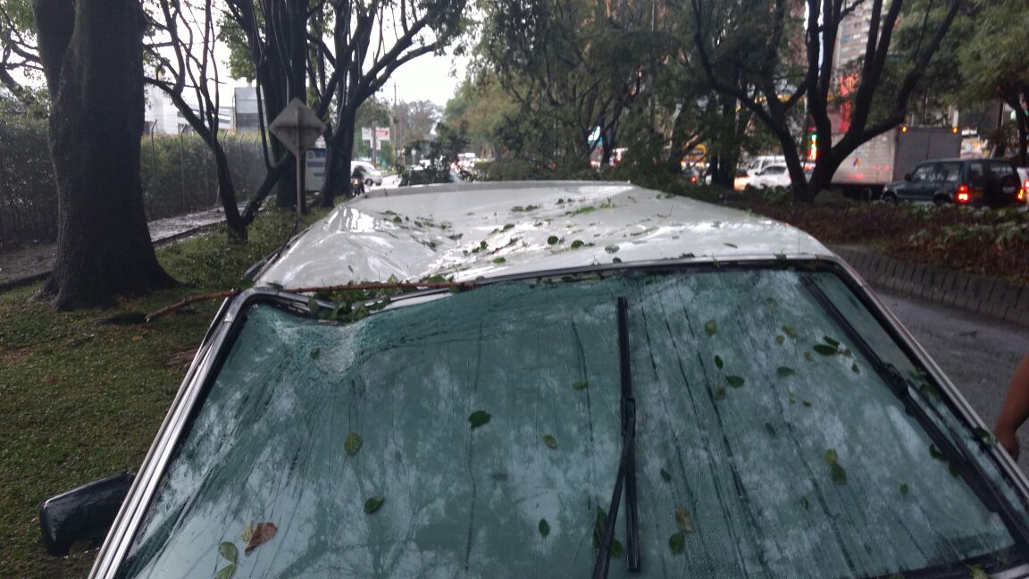 FOTO RICARDO MONSALVE