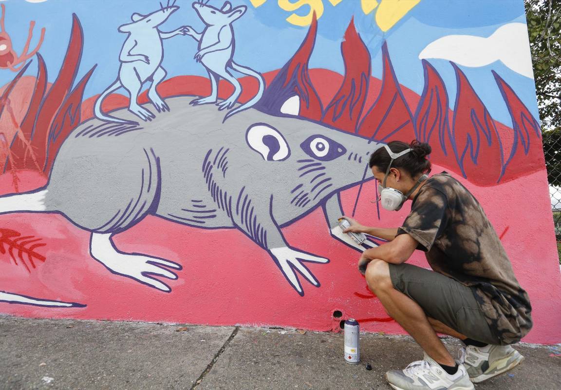 23 artistas urbanos tomaron sus aerosoles y brochas para darle color a la avenida Guayabal en el festival de grafiti de Comfenalco, Medellín. La temática de este año fue aquellos animales indeseados por ciertas personas que los consideran como “plagas” pero que son importantes para el ecosistema. Foto: Manuel Saldarriaga Quintero.