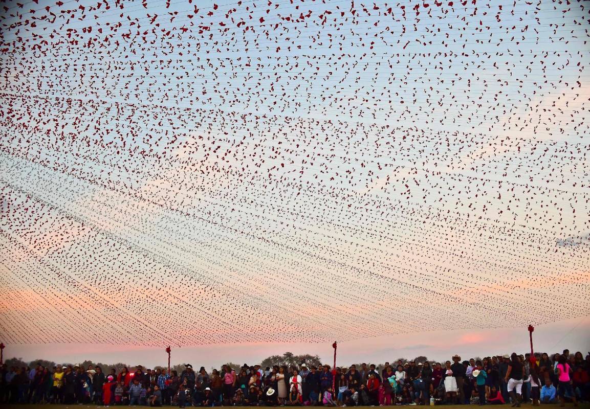 “Respeten, por favor. No sean groseros, medios (de comunicación), mi sobrina esta nerviosa”, dijo su tío. El padre, Crescencio Ibarra, en otro momento un tanto tenso, reclamó a los periodistas: “ ¡Ya quédense con la fiesta!”. La madre, Ana Elda García, llegó a soltar que “entiende más un animal que personas de la prensa”. FOTO AFP