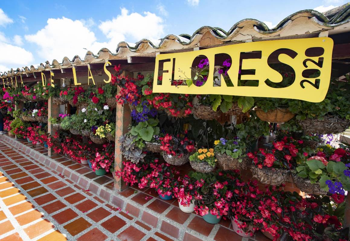 La edición 2020 de la Feria de las Flores se mantiene. La mayoría de las actividades se realizarán a la distancia para evitar aglomeraciones. Será una feria virtual, sin precedentes en la cuidad. Los silleteros siguen siendo los protagonistas. FOTO MANUEL SALDARRIAGA QUINTERO