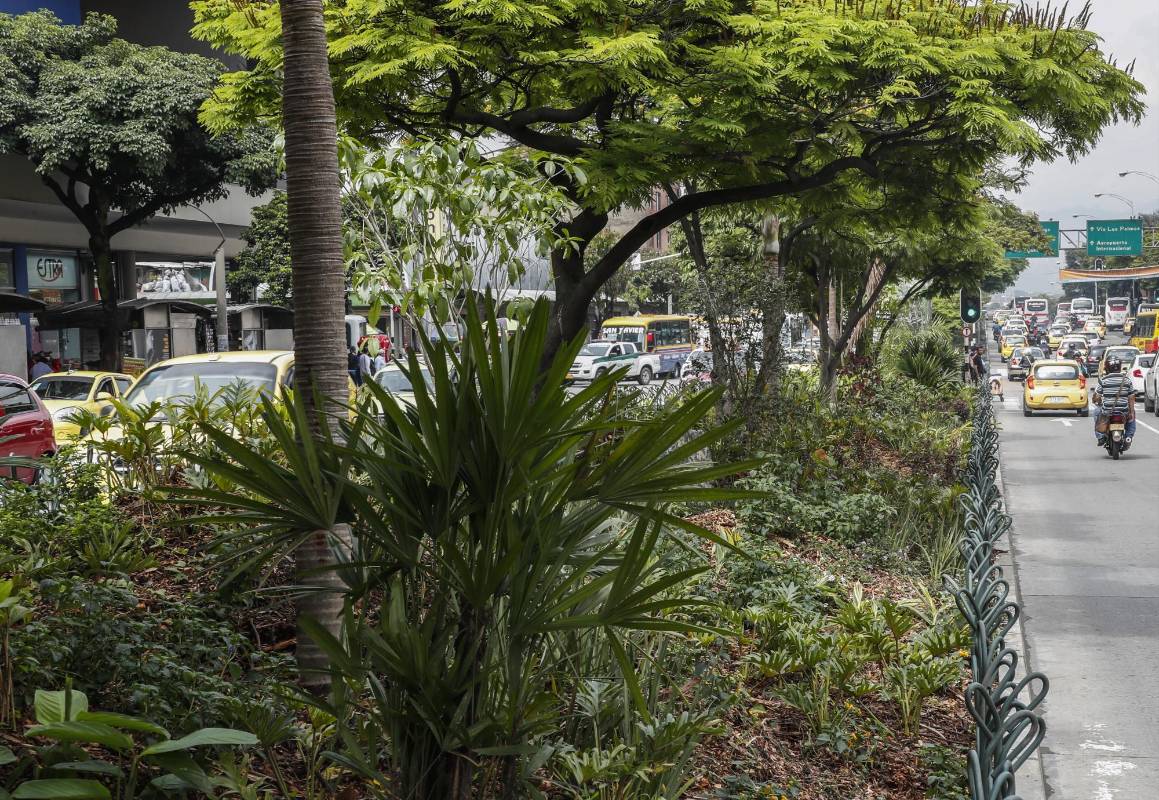 Avenida oriental entre las calles 48 y 49. Foto: Robinson Sáenz Vargas