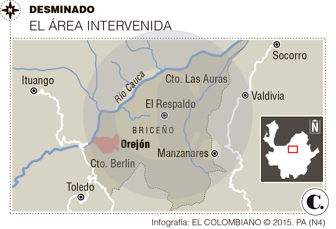 InfogrÃ¡fico