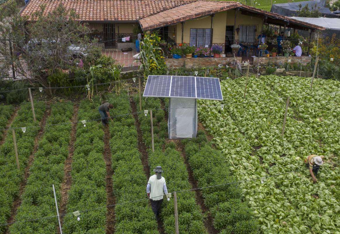 Los paneles están apoyando a familias floricultoras de 9 veredas del corregimiento de San Cristóbal. Foto: Manuel Saldarriaga