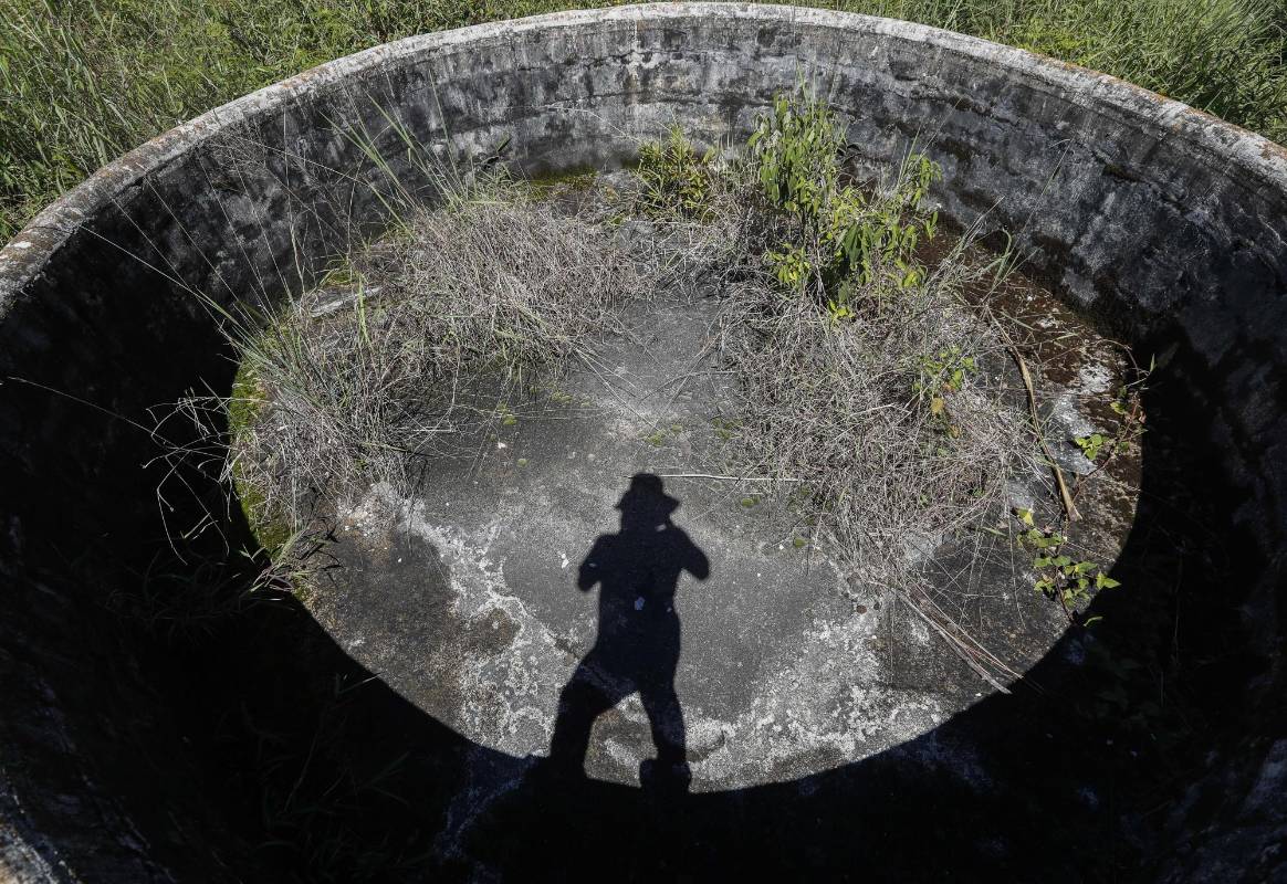 Este predio tiene una gran reserva en el bosque con especies en peligro de extinción. Foto: Manuel Saldarriaga Quintero.