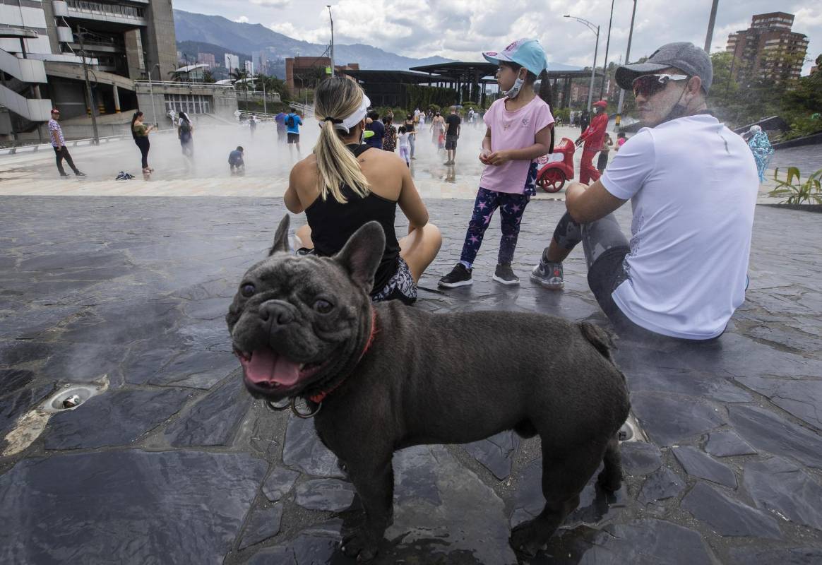 Las mascotas también disfrutan de la Plaza la Niebla, uno de los mayores atractivos del parques del río. Foto: Manuel Saldarriaga Quintero.