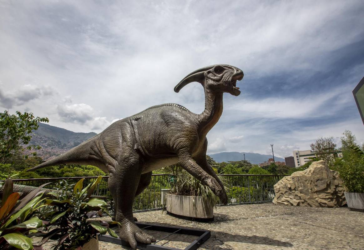 La experiencia en el Parque Explora, museo interactivo de Medellín, será ligeramente distinta. Por ahora solo habrá cuatro áreas habilitadas: Sala Abierta, la Exposición Microvida, el acuario y la Exposición Dinosaurios. FOTO ANDRÉS CAMILO SUÁREZ