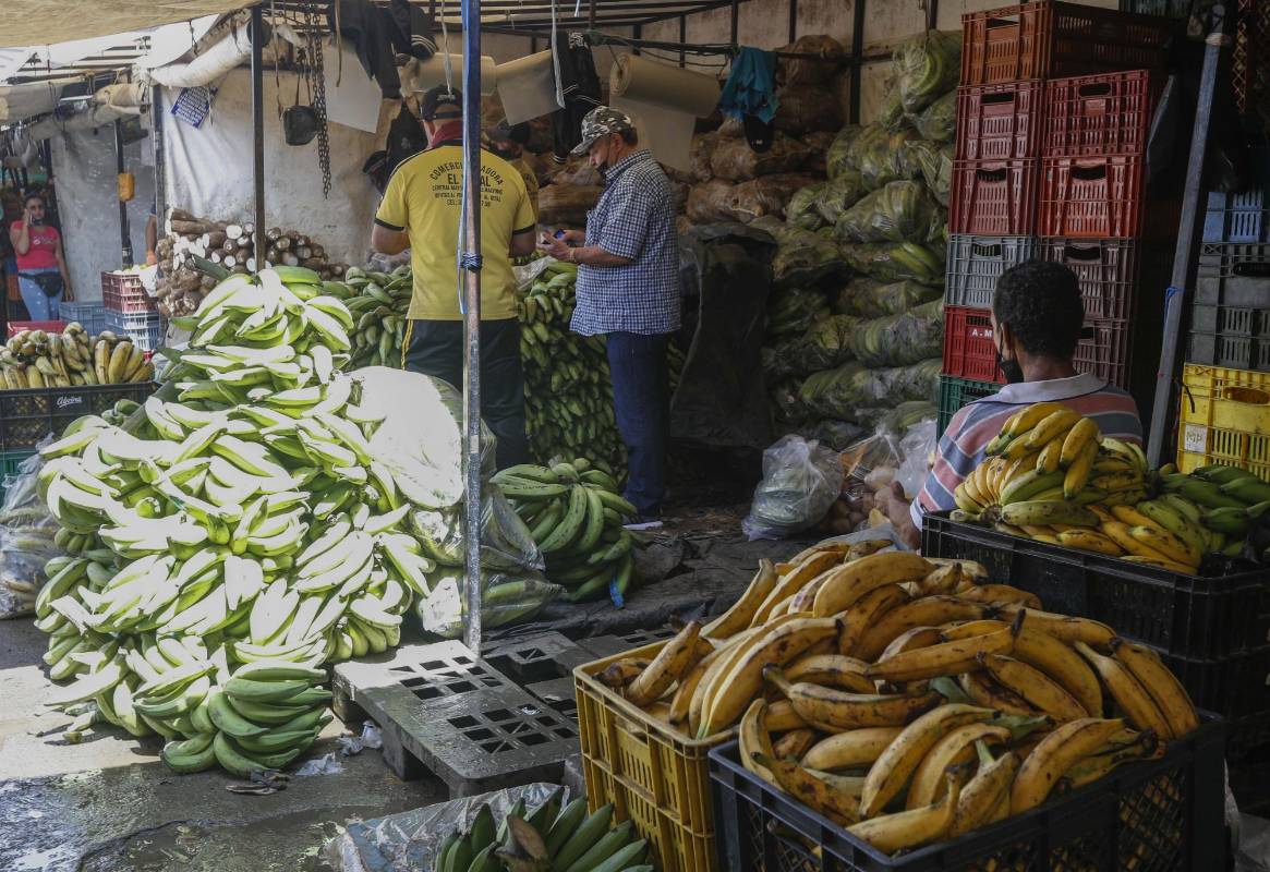 Con un aproximado de 5.985 toneladas de productos proveniente del todo departamento, la plaza Mayorista se abastece para que las familias puedan conseguir a precios económicos sus alimentos. Foto: Manuel Saldarriaga Quintero.