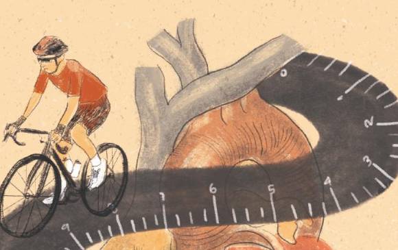 ilustración laura ospina