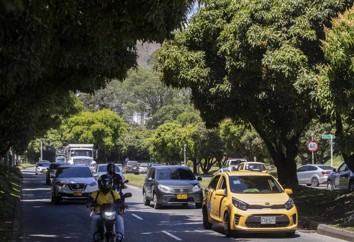Con los anuncios de construcción del metro de la 80, ambientalista y vecinos del sector expresan inquietud por el impacto que tendrá sobre la conectividad ambiental en la zona. Foto: Manuel Saldarriaga Quintero