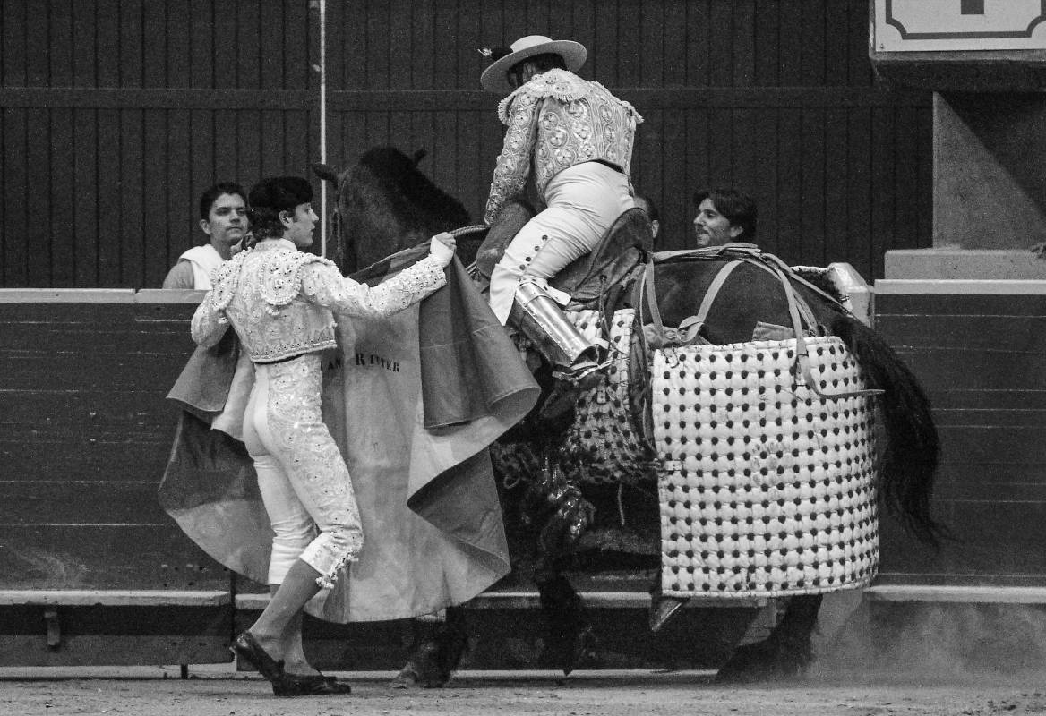 Activistas como el concejal Álvaro Múnera rechazaron la muerte del equino producto de la cornada. FOTO JAIME PÉREZ