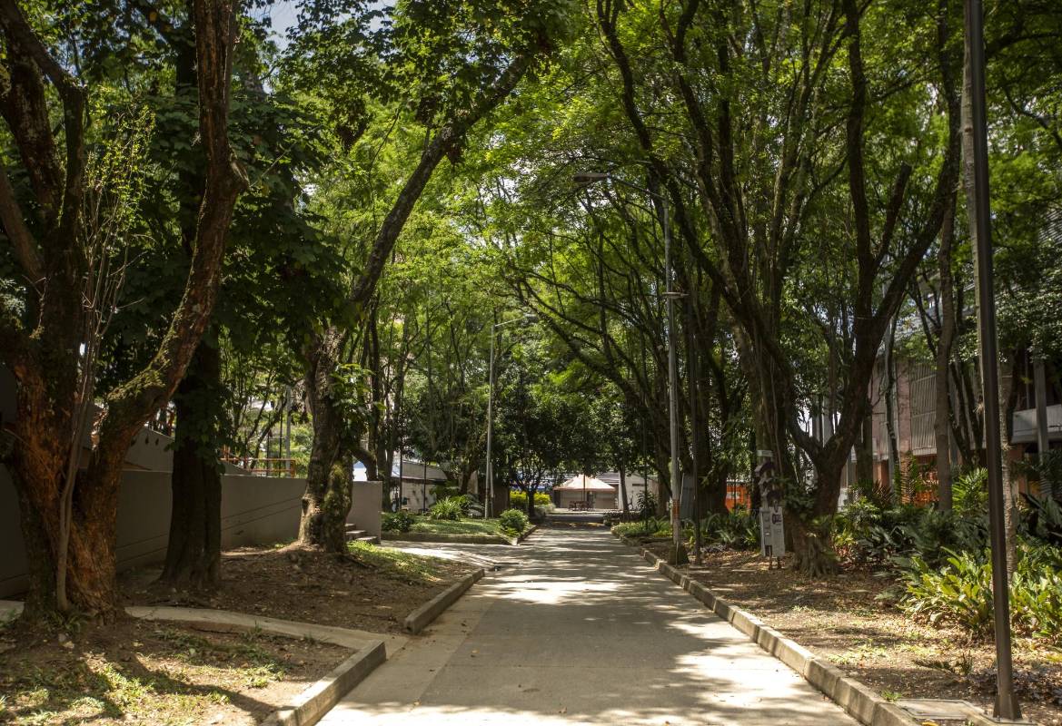 En el polideportivo sur de Envigado el paisaje no es diferente. Foto: Andrés Camilo Suárez
