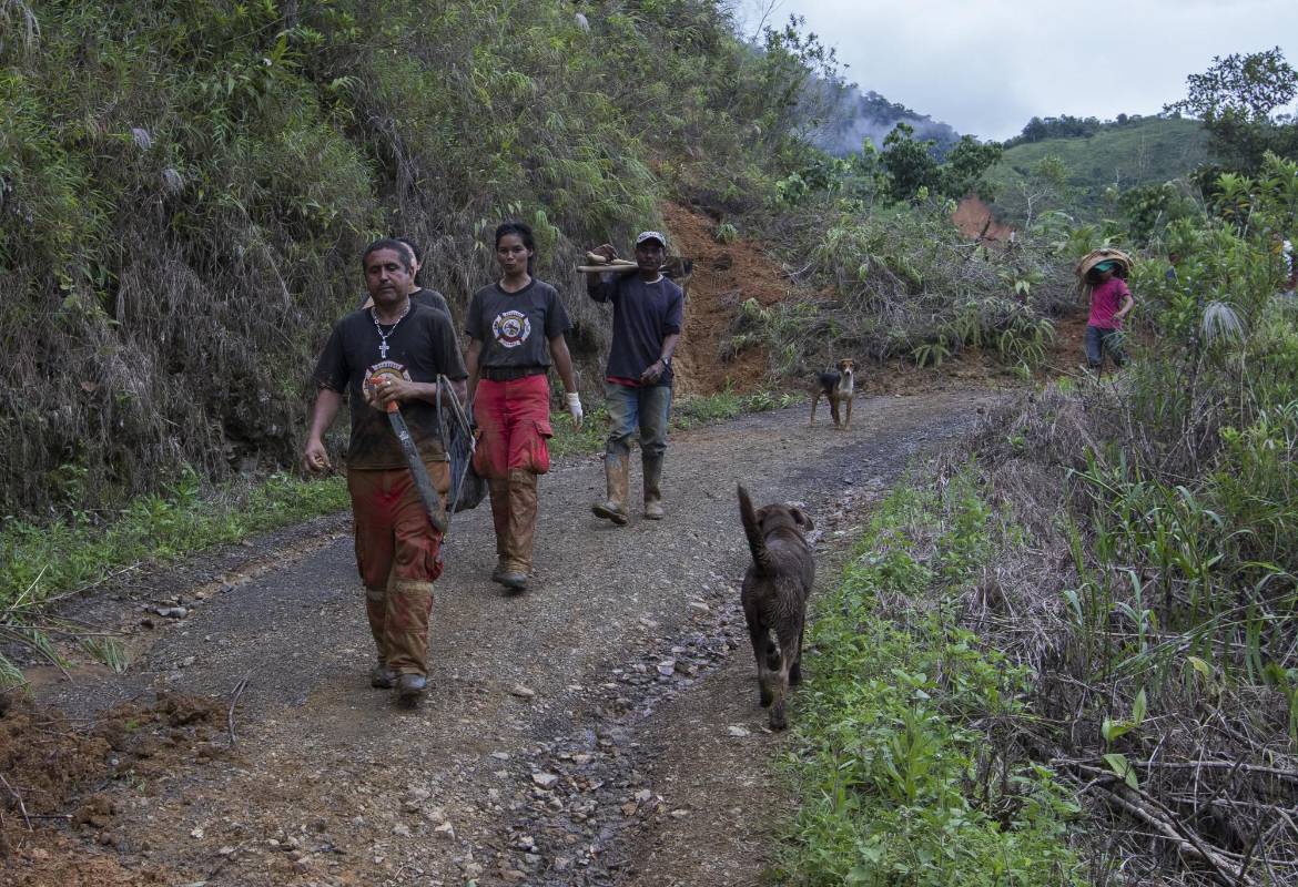La emergencia se produjo en la vereda Llano Gordo, en el Municipio de Dabeiba, Antioquia. FOTO ROBINSON SÁENZ