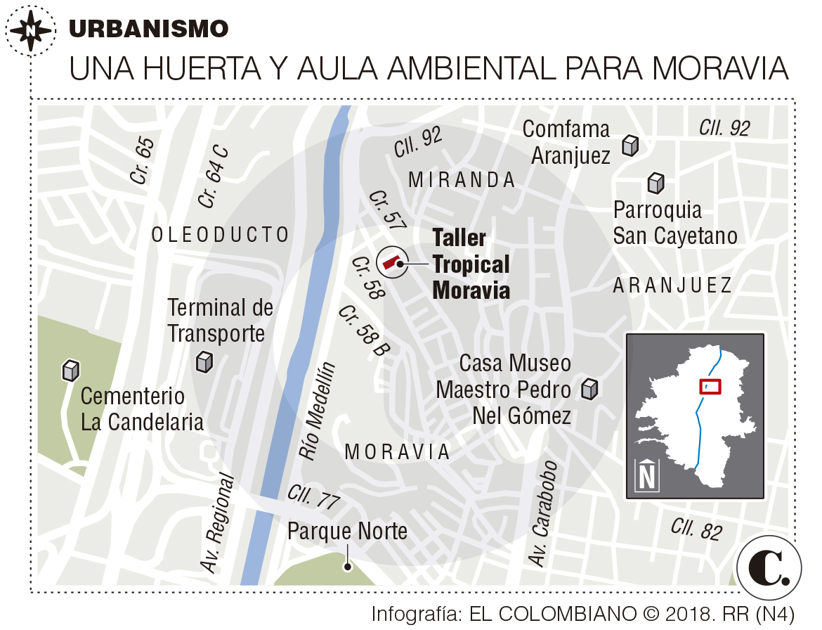 InfogrÃ¡fico