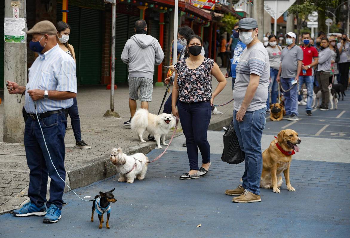 La alcaldía de Envigado y Sabaneta diseñan estrategias y ejecutan acciones para preservar la salud de las mascotas en una jornada de vacunación gratuita contra la rabia y adicionalmente desparasitación. Foto: Manuel Saldarriaga Quintero.