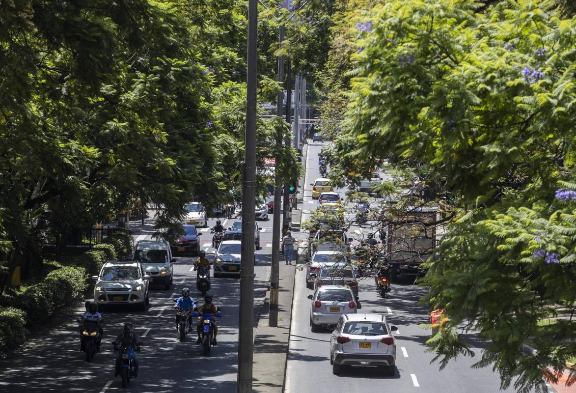 Con los anuncios de construcción del metro de la 80, ambientalista y vecinos del sector expresan inquietud por el impacto que tendrá sobre la conectividad ambiental en la zona. Foto: Manuel Saldarriaga Quintero