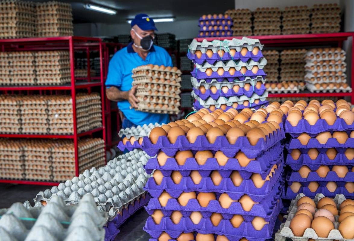 La variedad, los precios y la frescura de los productos son el gran atractivo de la Central Mayorista. Foto Juan Antonio Sánchez