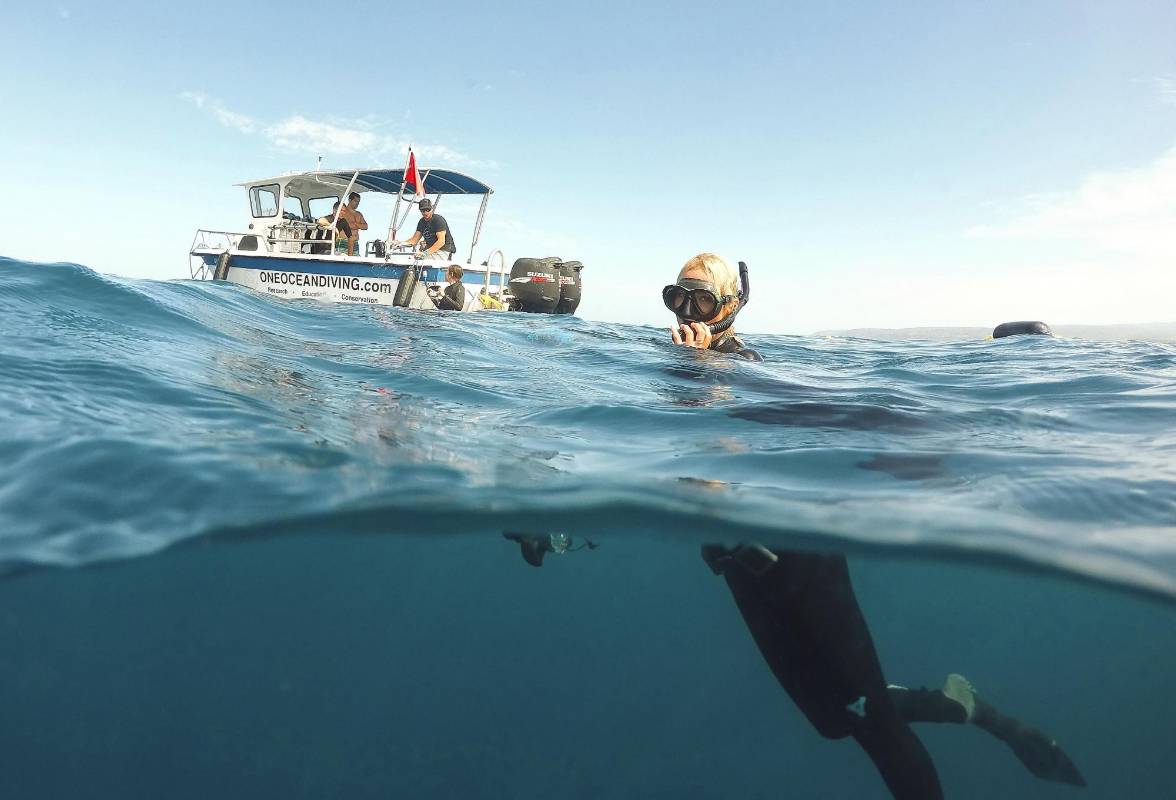 Ella dijo una vez que algunos de los mejores momentos de su vida han sido buceando con tiburones blancos. FOTO REUTERS