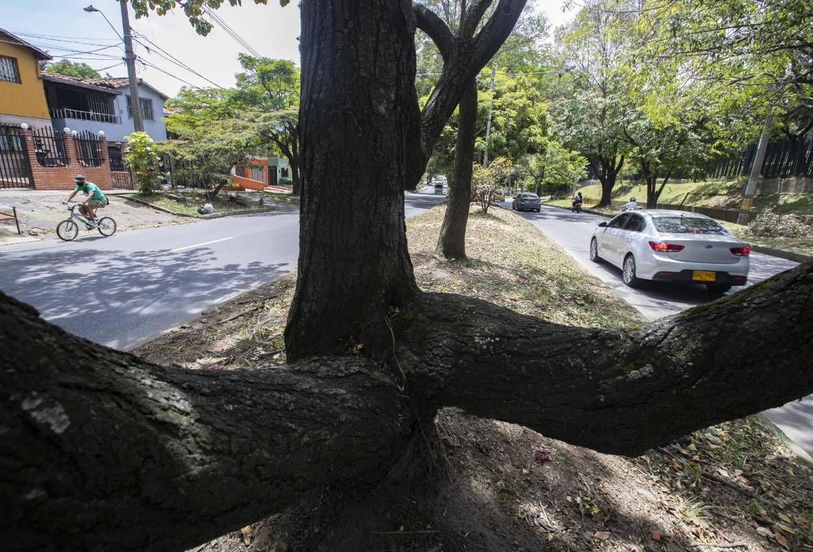 Con los anuncios de construcción del metro de la 80, ambientalista y vecinos del sector expresan inquietud por el impacto que tendrá sobre la conectividad ambiental en la zona. Foto: Manuel Saldarriaga Quintero