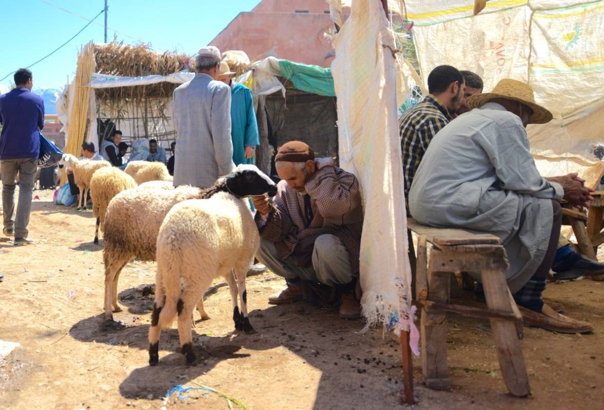Vida rural en Marruecos, imágenes tomadas en Valle Ourika (Marruecos). FOTO Luis Fernando Restrepo