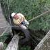 Hernán Vanegas - Después de muchos años sin vacaciones, Mauricio Sánchez viajó con su esposa a celebrar sus Bodas de Plata en medio de la selva. El se le midió a subir la ceiba del dosel a punta de cuerdas hasta llegar a la cima, a unos 40 metros de altura, antes de cruzar el puente tibetano.