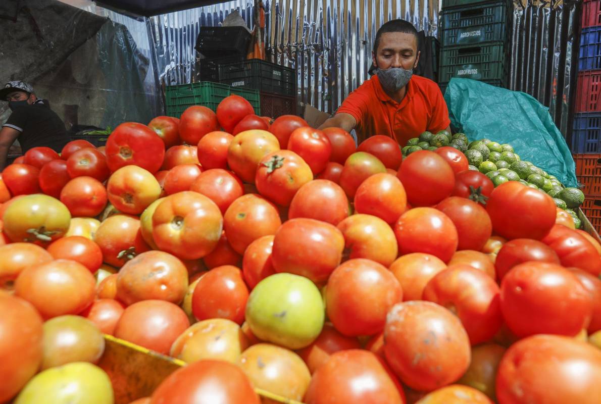 Con un aproximado de 5.985 toneladas de productos proveniente del todo departamento, la plaza Mayorista se abastece para que las familias puedan conseguir a precios económicos sus alimentos. Foto: Manuel Saldarriaga Quintero.