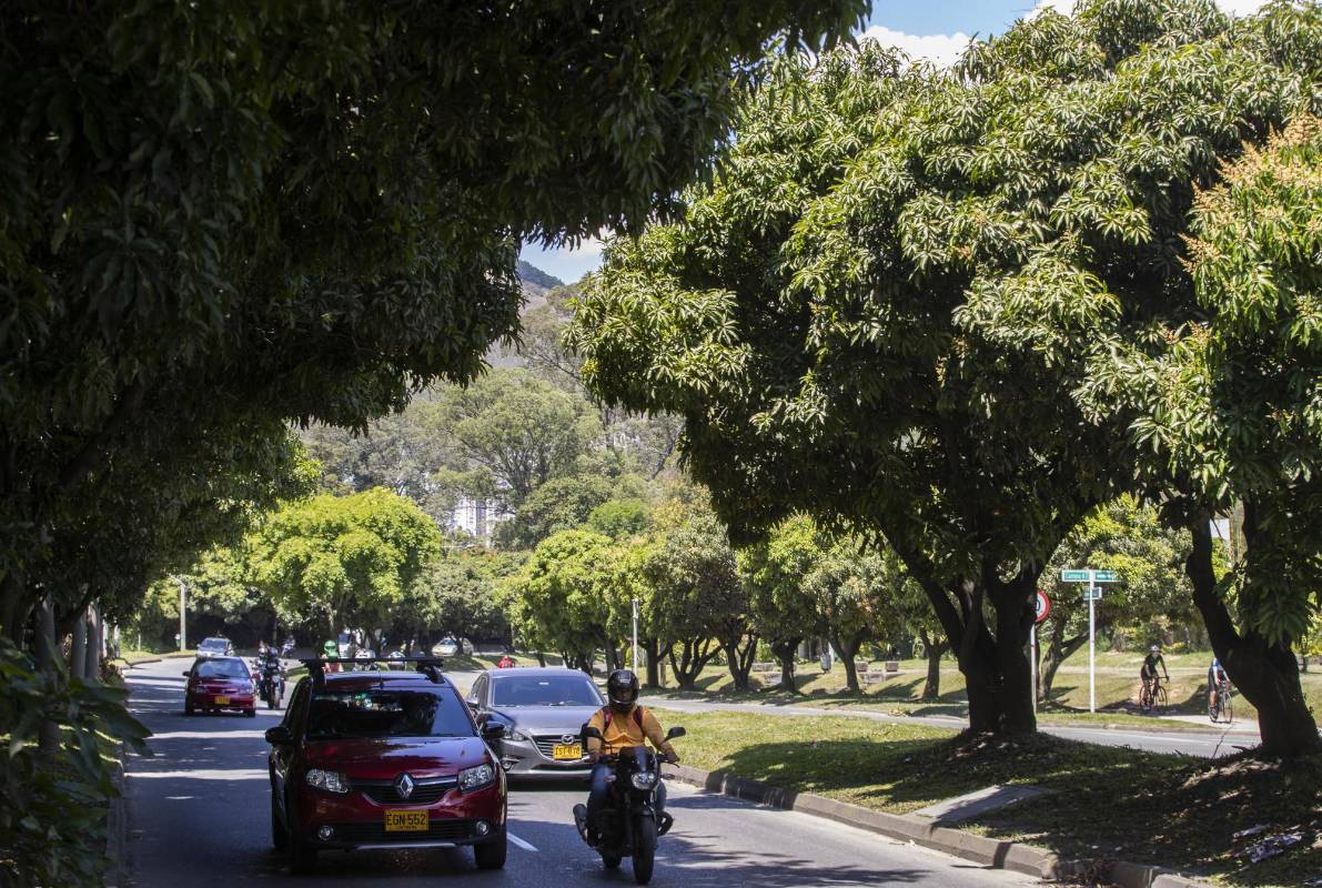 Con los anuncios de construcción del metro de la 80, ambientalista y vecinos del sector expresan inquietud por el impacto que tendrá sobre la conectividad ambiental en la zona. Foto: Manuel Saldarriaga Quintero