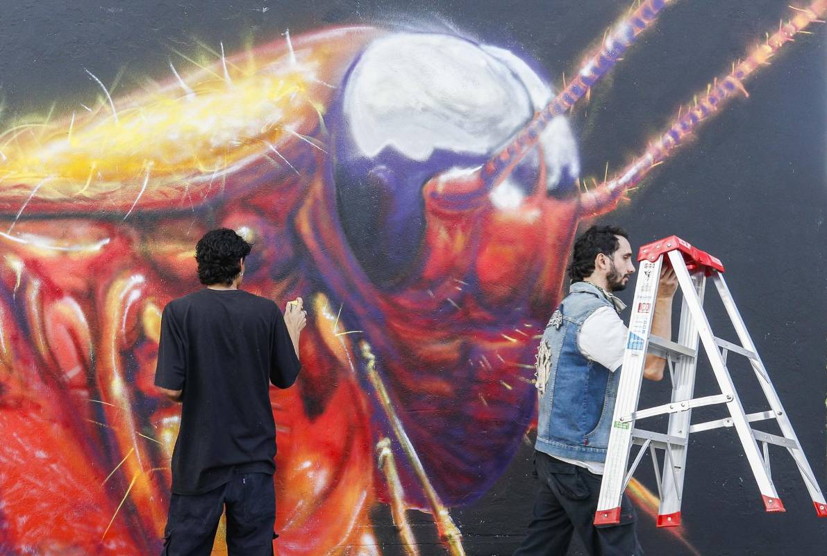 23 artistas urbanos tomaron sus aerosoles y brochas para darle color a la avenida Guayabal en el festival de grafiti de Comfenalco, Medellín. La temática de este año fue aquellos animales indeseados por ciertas personas que los consideran como “plagas” pero que son importantes para el ecosistema. Foto: Manuel Saldarriaga Quintero.