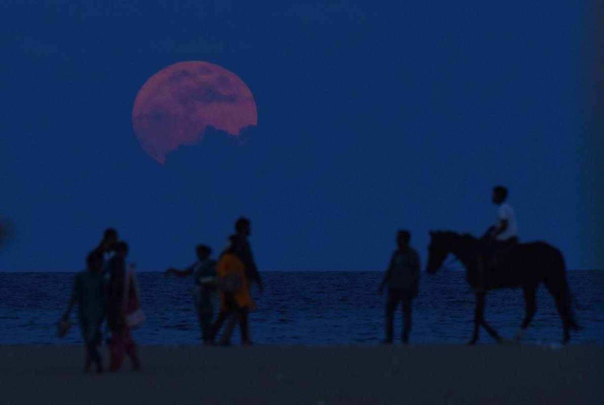 En Marina Beach, en la India. FOTO AFP