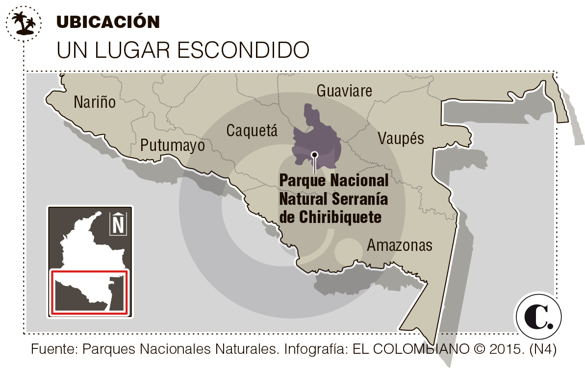 InfogrÃ¡fico