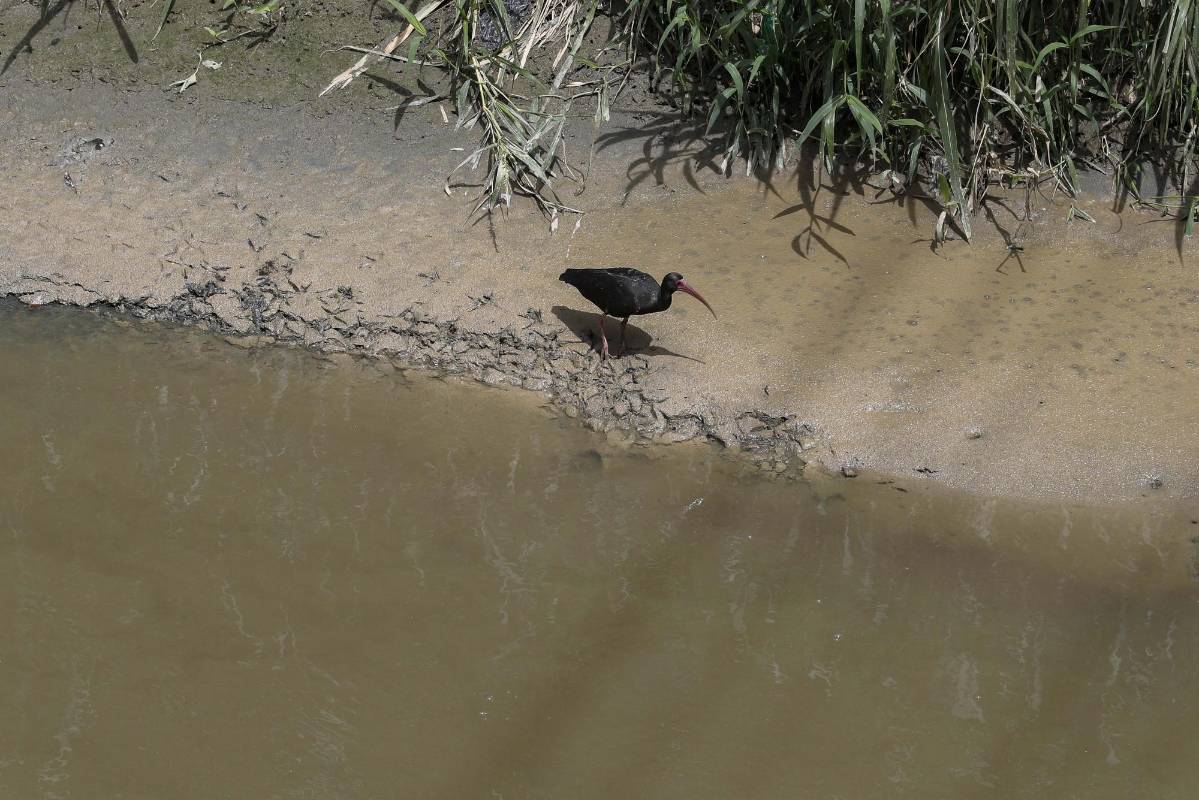 La suspensión de gran parte de la actividad comercial e industriales alivió la carga contaminante. Sin embargo según el Amva los hogares contaminan más. Estas son algunas imágenes entre el municipio de Caldas hasta el municipio de Barbosa. Foto: Manuel Saldarriaga Quintero.
