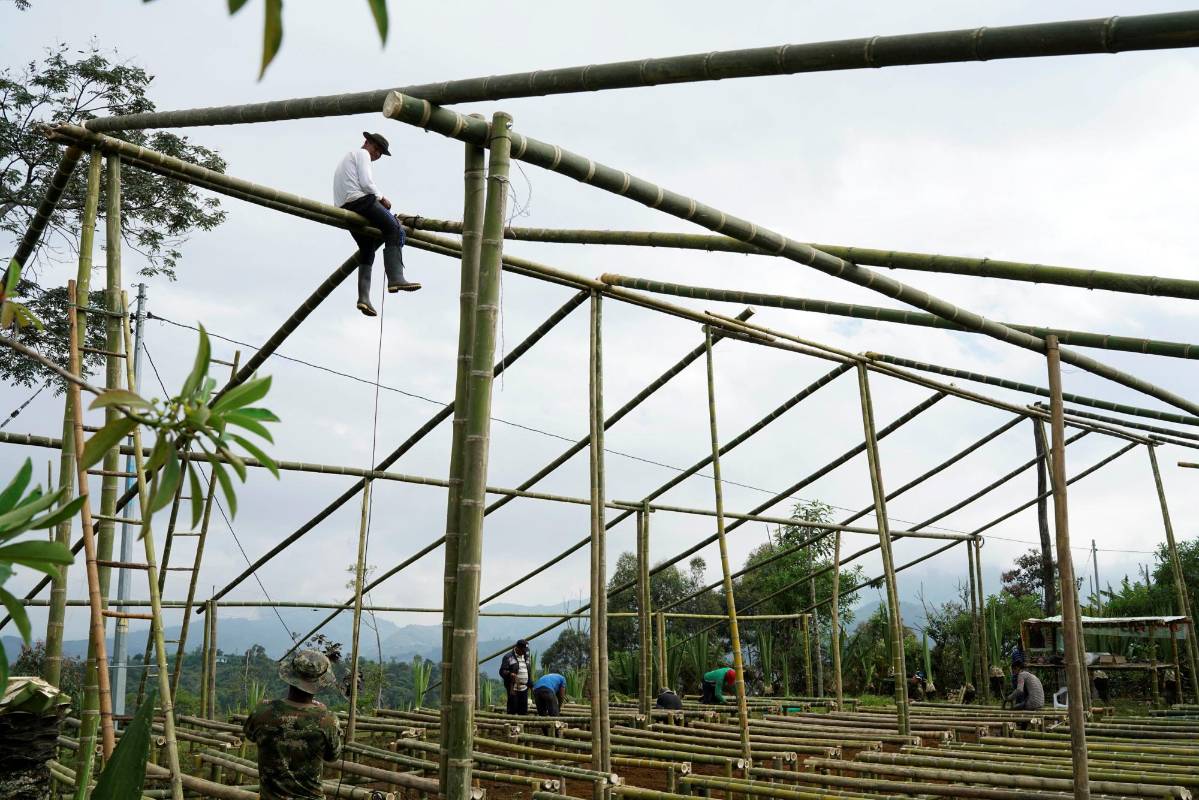El proceso de entrega de armas de Farc avanza en las zonas veredales. FOTO FEDERICO RÍOS (REUTERS)
