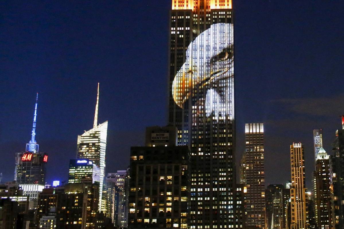 El Empire State, uno de los rascacielos más conocidos de Nueva York, se iluminó en la noche del sábado con imágenes de animales en peligro de extinción, en una iniciativa para llamar la atención sobre la situación de esas y otras especies. FOTO AP