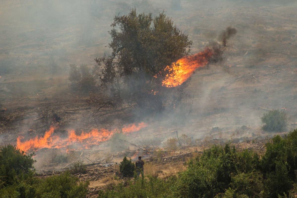 La presidenta aseguró que 46 aviones y helicópteros están operando actualmente en las regiones de la zona centro y sur del país afectadas por los incendios, y anunció que se han alquilado más aeronaves de Perú y Europa, además de un enorme avión cisterna que enviará el Gobierno ruso. FOTO AFP