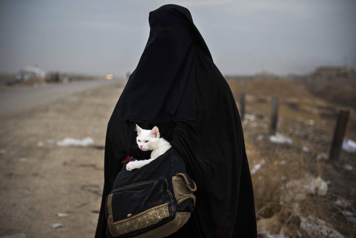 Una mujer iraquí carga a su gato en las afueras de la ciudad de Mosul que estaba siendo asediada por los enfrentamientos con el Estado Islámico. FOTO ODD ANDERSEN, AFP