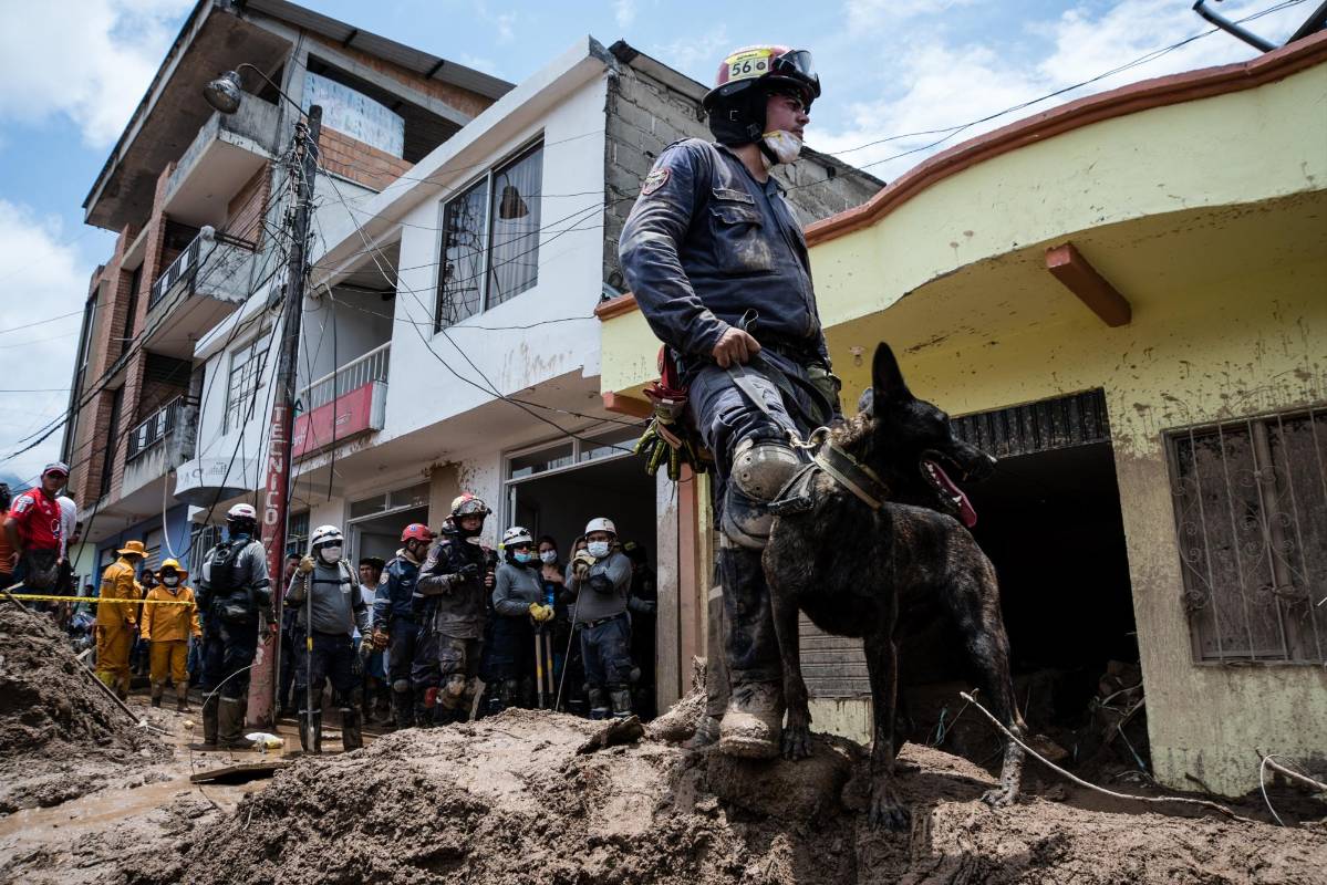 Los bomberos utilizan caninos para rastrear posibles sobrevivientes y cuerpos de las personas fallecidas en medio de los escombros. Foto: Andrés Cardona