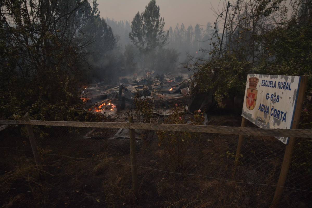 Sin embargo, hasta el momento no existe constancia de que haya grupos organizados que provoquen los incendios, sino más bien la acción de pirómanos que actúan individualmente o personas que los causan por negligencia, como es el caso de las quemas agrícolas incontroladas. FOTO AFP