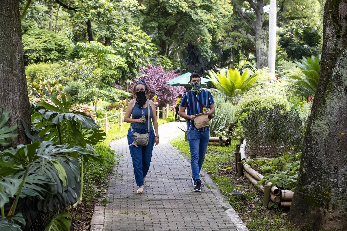 El Jardín abrirá parcialmente algunos espacios como el vivero, la tienda, la casa de las mariposas, el bosque tropical, el laboratorio de arquitectura urbana Foto: Jaime Pérez