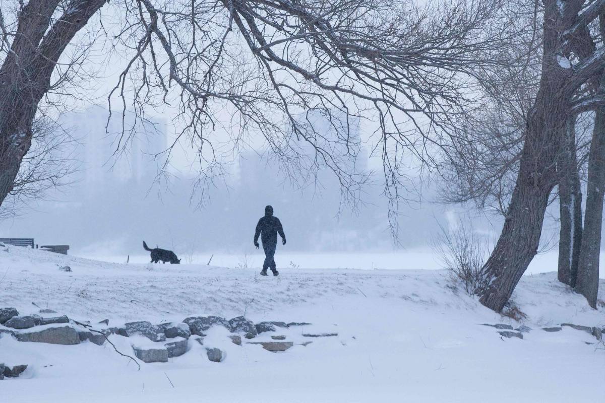 El norte de Estados Unidos y Canadá volvieron a sufrir este jueves temperaturas polares que obligaron cerrar escuelas, suspender vuelos y trenes, y abrir refugios de emergencia. Las temperaturas cayeron a -45°C. FOTO AFP