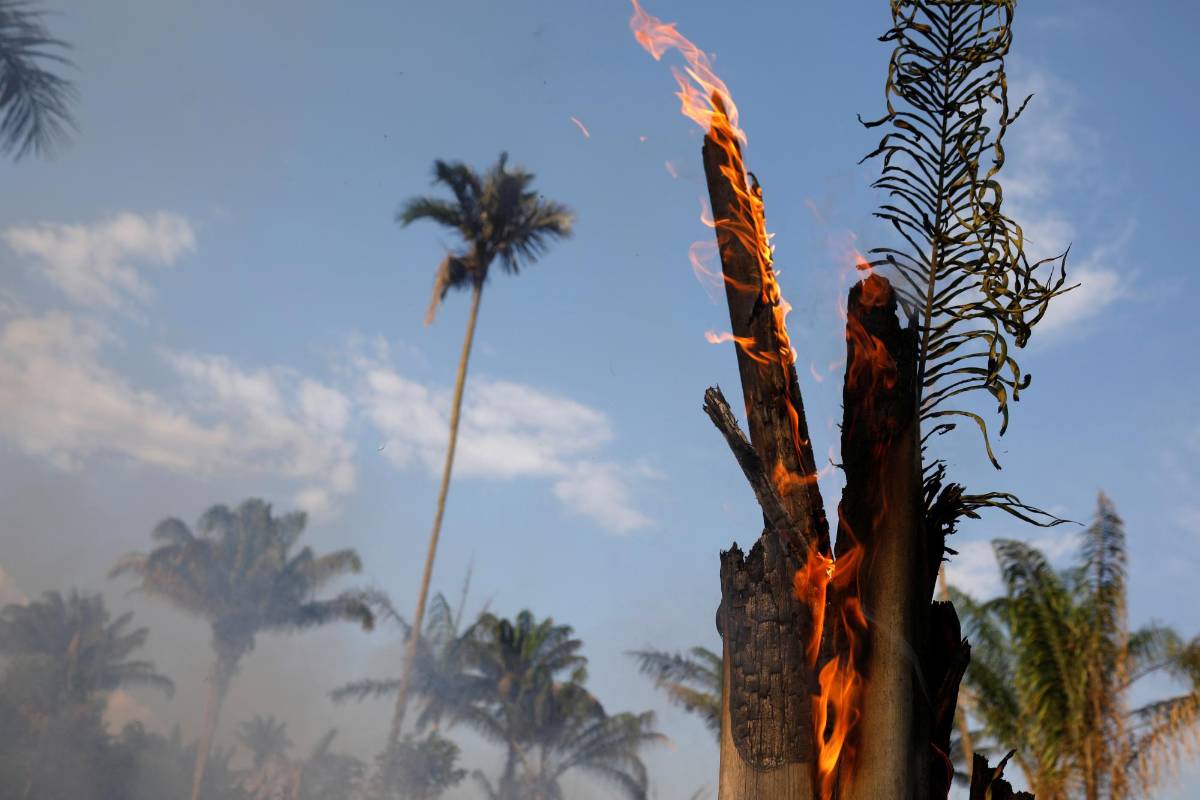 El fuego se ha ido expandiendo. FOTO REUTERS