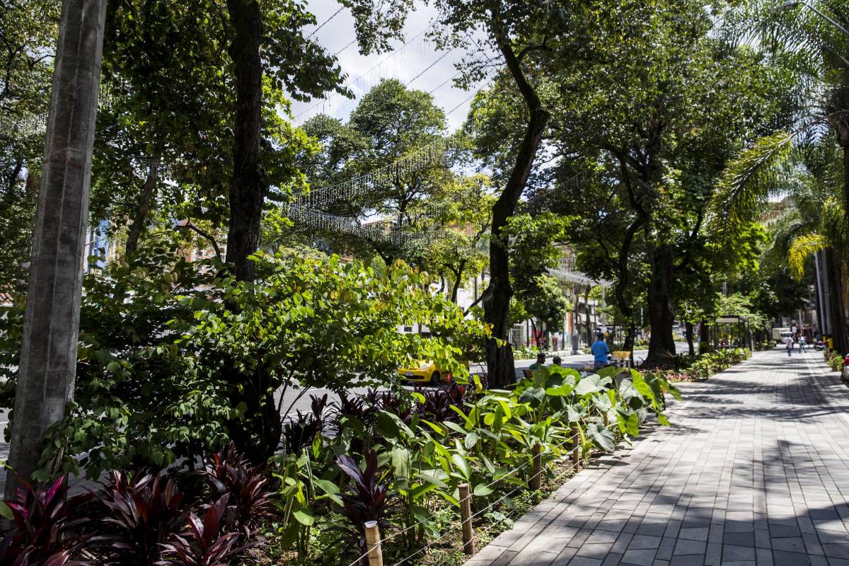 Los nuevos jardines y la gran cantidad de árboles volvieron el ambiente muy agradable. Foto Julio Herrera