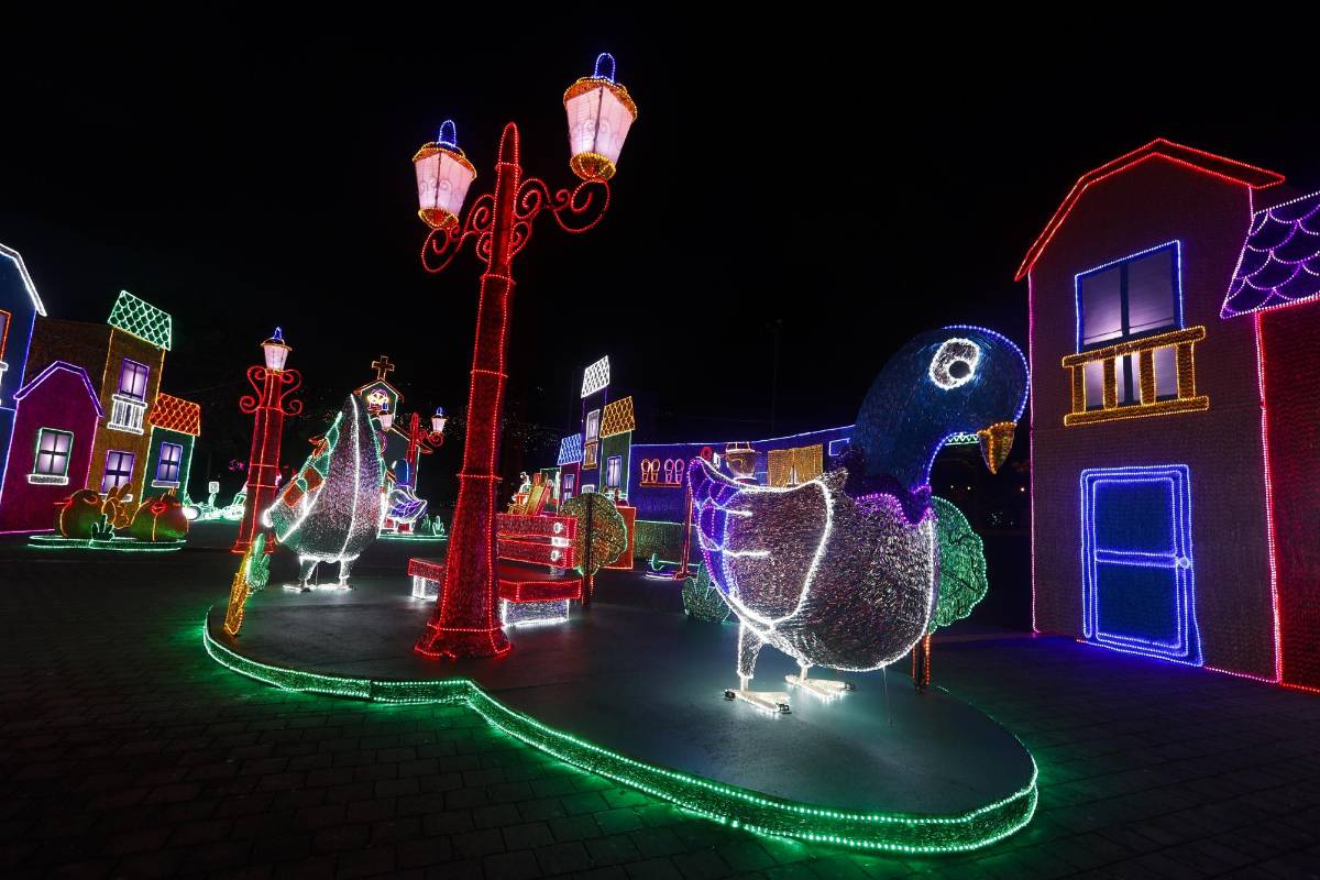 Un ritual de encendido navideño a través del alumbrado, atracción turística de la ciudad de Medellín. Foto: Manuel saldarriaga quintero