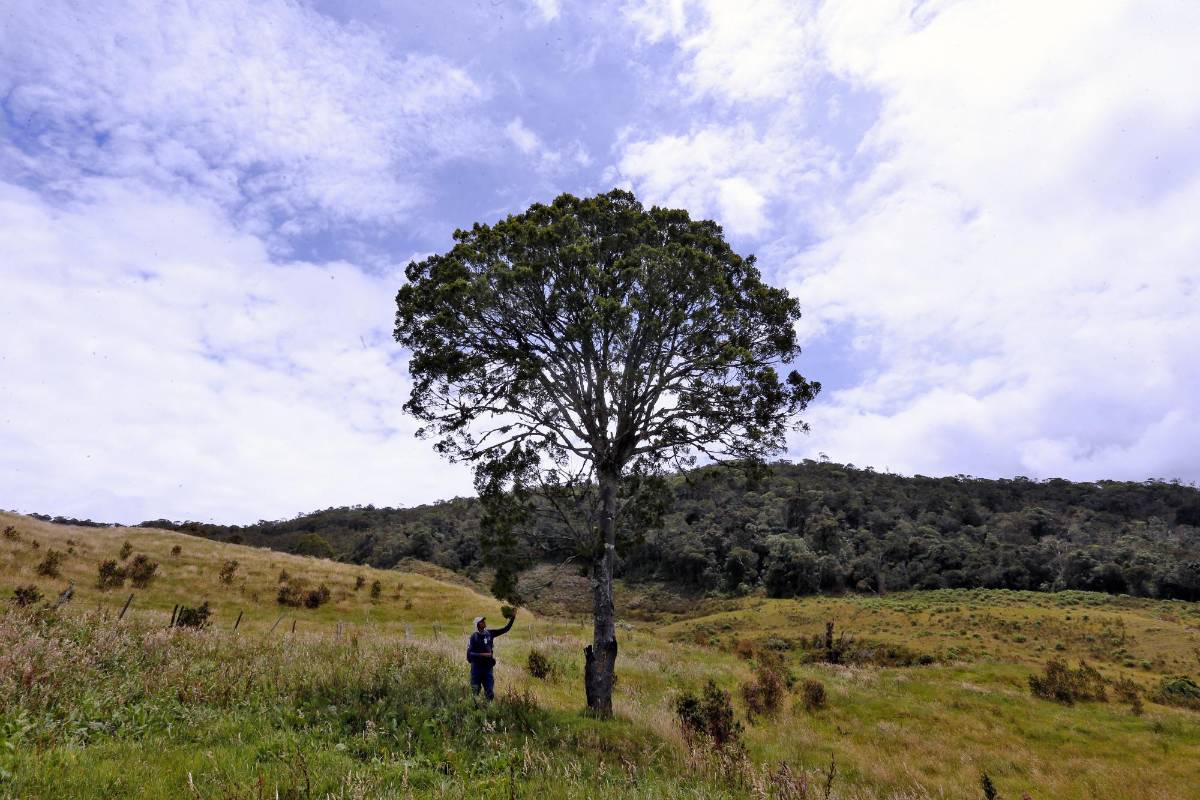 Un espacio cerca a la ciudad, que nos recuerdan esa simbiosis entre los escenarios espectaculares y la importancia de la naturaleza, incluso, en la vida cotidiana. Fotos: Juan Antonio Sánchez.